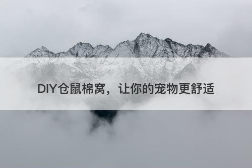 DIY仓鼠棉窝，让你的宠物更舒适