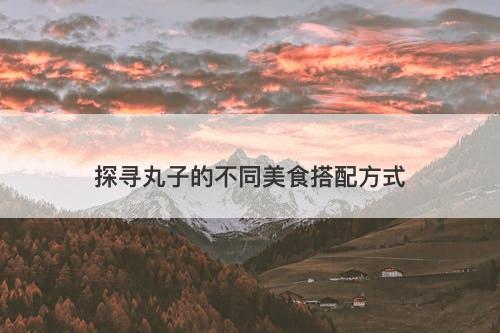 探寻丸子的不同美食搭配方式