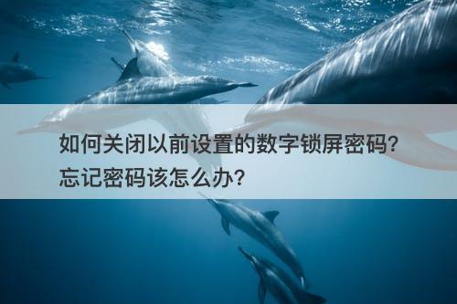 如何关闭以前设置的数字锁屏密码？忘记密码该怎么办？