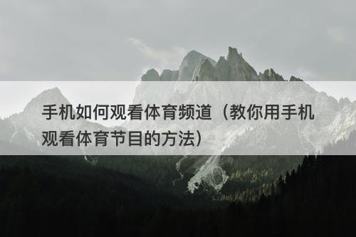 手机如何观看体育频道（教你用手机观看体育节目的方法）-图1