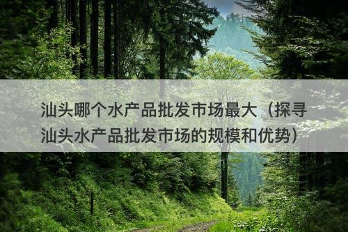 汕头哪个水产品批发市场最大（探寻汕头水产品批发市场的规模和优势）-图1