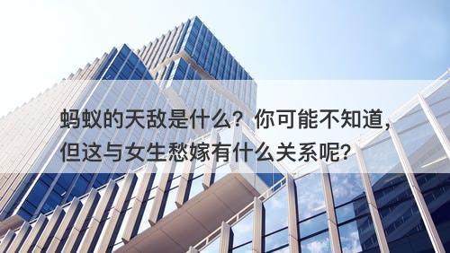 蚂蚁的天敌是什么？你可能不知道，但这与女生愁嫁有什么关系呢？
