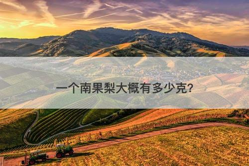 一个南果梨大概有多少克？