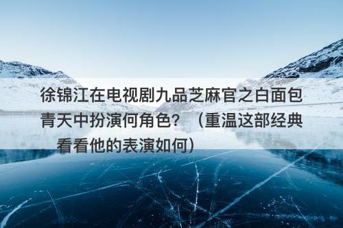 徐锦江在电视剧九品芝麻官之白面包青天中扮演何角色？（重温这部经典，看看他的表演如何）