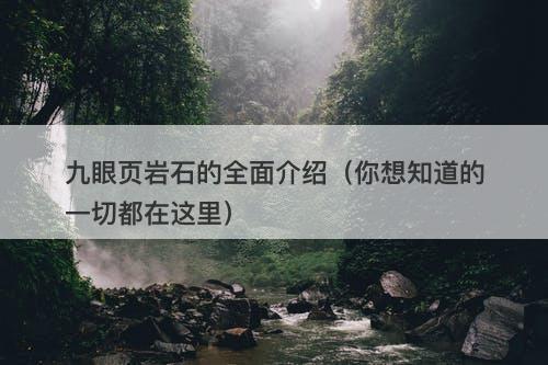 九眼页岩石的全面介绍（你想知道的一切都在这里）