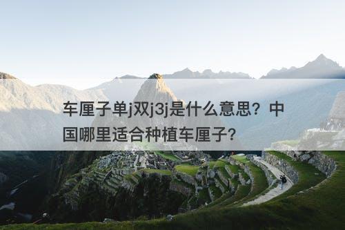 车厘子单j双j3j是什么意思?中国哪里适合种植车厘子?