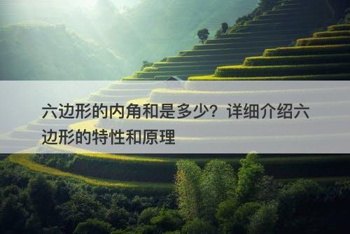 六边形的内角和是多少?详细介绍六边形的特性和原理