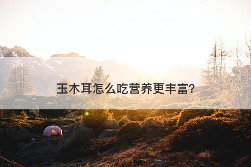 玉木耳怎么吃营养更丰富?