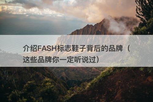 介绍FASH标志鞋子背后的品牌(这些品牌你一定听说过)