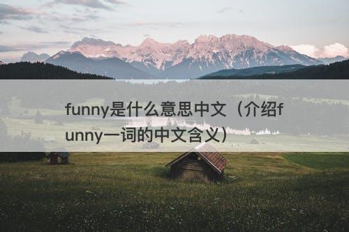 funny是什么意思中文(介绍funny一词的中文含义)