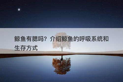 鲸鱼有腮吗?介绍鲸鱼的呼吸系统和生存方式