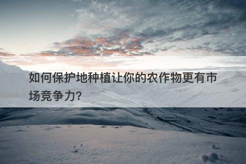如何保护地种植让你的农作物更有市场竞争力?