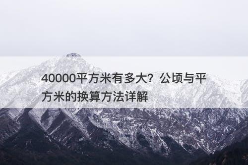 40000平方米有多大?公顷与平方米的换算方法详解