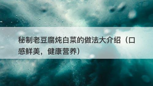 秘制老豆腐炖白菜的做法大介绍（口感鲜美，健康营养）
