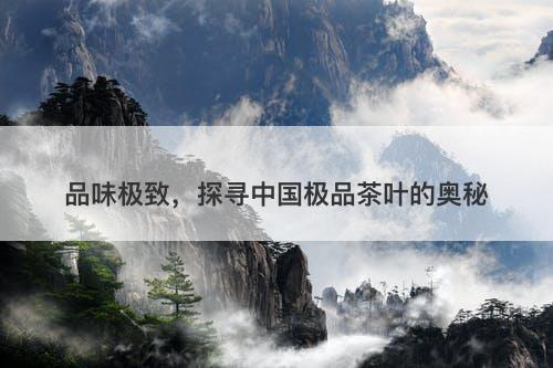 品味极致，探寻中国极品茶叶的奥秘-图1