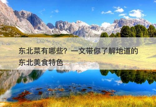 东北菜有哪些?一文带你了解地道的东北美食特色