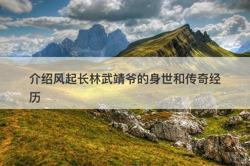 介绍风起长林武靖爷的身世和传奇经历