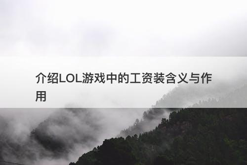 介绍LOL游戏中的工资装含义与作用