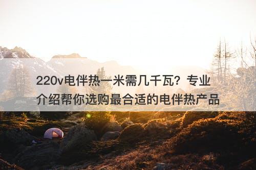 220v电伴热一米需几千瓦？专业介绍帮你选购最合适的电伴热产品