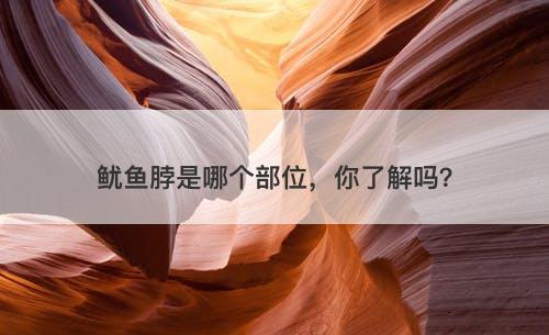 鱿鱼脖是哪个部位，你了解吗？