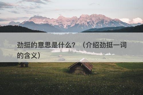 劲挺的意思是什么？（介绍劲挺一词的含义）