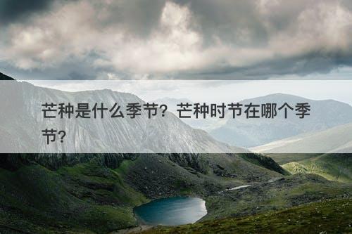 芒种是什么季节?芒种时节在哪个季节?