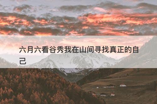 六月六看谷秀我在山间寻找真正的自己
