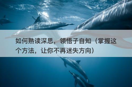 如何熟读深思，领悟子自知（掌握这个方法，让你不再迷失方向）