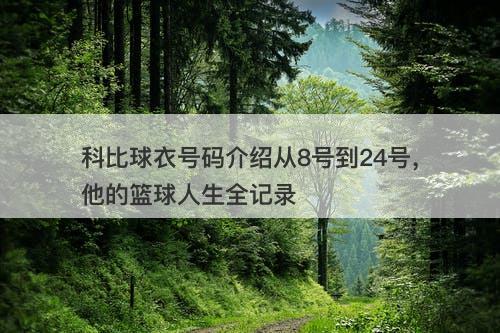 科比球衣号码介绍从8号到24号，他的篮球人生全记录