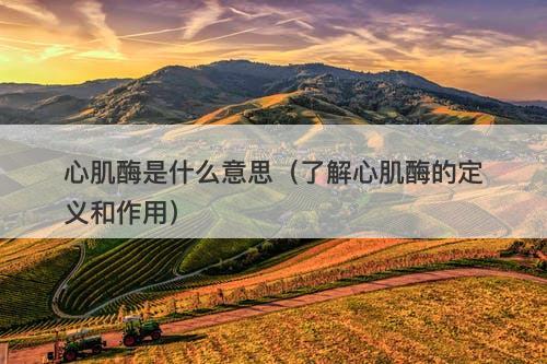 心肌酶是什么意思(了解心肌酶的定义和作用)