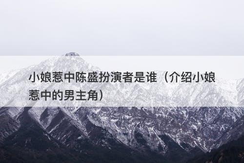 小娘惹中陈盛扮演者是谁（介绍小娘惹中的男主角）-图1