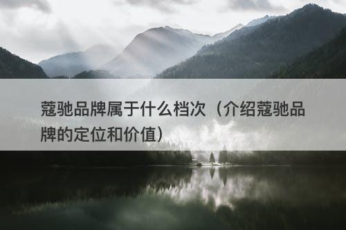 蔻驰品牌属于什么档次（介绍蔻驰品牌的定位和价值）-图1