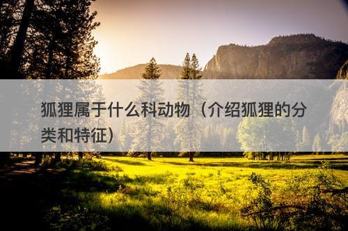 狐狸属于什么科动物（介绍狐狸的分类和特征）