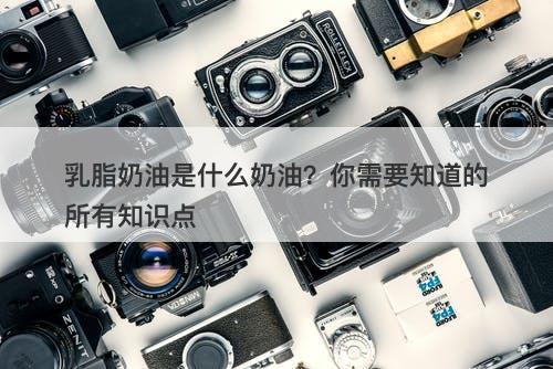 乳脂奶油是什么奶油？你需要知道的所有知识点