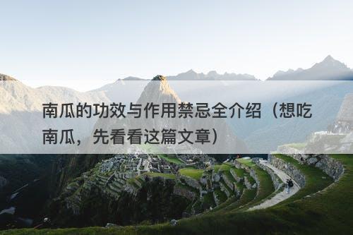 南瓜的功效与作用禁忌全介绍（想吃南瓜，先看看这篇文章）