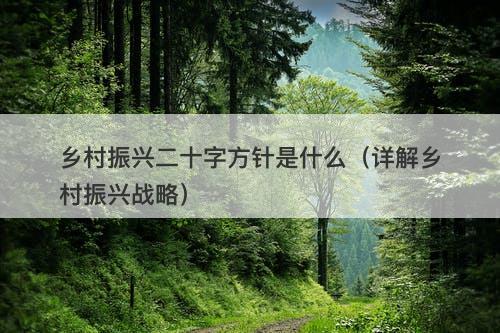 乡村振兴二十字方针是什么（详解乡村振兴战略）