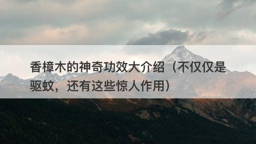 香樟木的神奇功效大介绍（不仅仅是驱蚊，还有这些惊人作用）