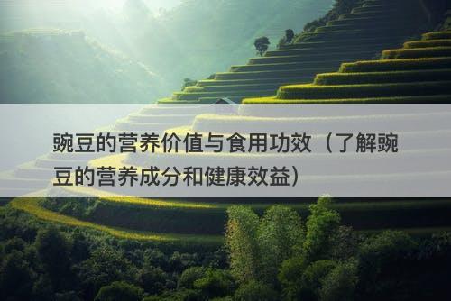 豌豆的营养价值与食用功效（了解豌豆的营养成分和健康效益）