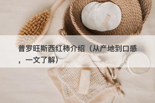 普罗旺斯西红柿介绍（从产地到口感，一文了解）