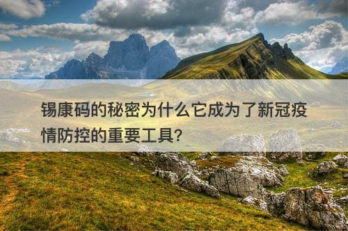 锡康码的秘密为什么它成为了新冠疫情防控的重要工具？