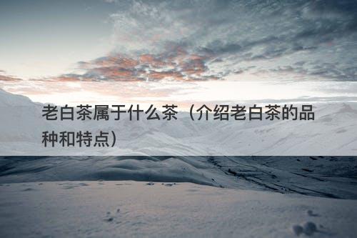 老白茶属于什么茶（介绍老白茶的品种和特点）