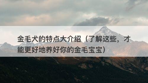 金毛犬的特点大介绍（了解这些，才能更好地养好你的金毛宝宝）