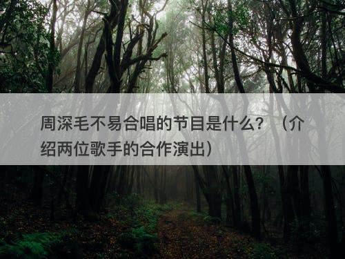周深毛不易合唱的节目是什么?(介绍两位歌手的合作演出)