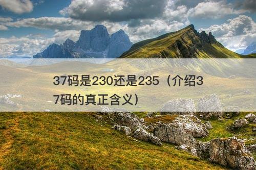 37码是230还是235（介绍37码的真正含义）