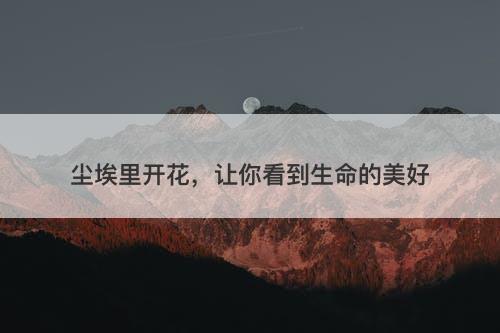 尘埃里开花，让你看到生命的美好
