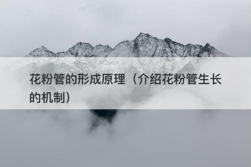 花粉管的形成原理(介绍花粉管生长的机制)
