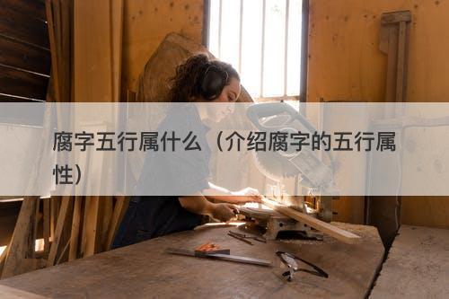腐字五行属什么（介绍腐字的五行属性）