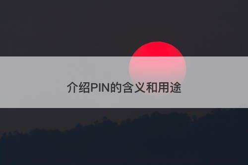 介绍PIN的含义和用途