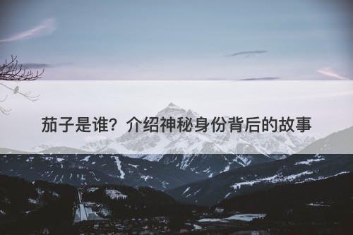 茄子是谁?介绍神秘身份背后的故事