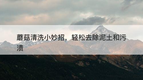 蘑菇清洗小妙招,轻松去除泥土和污渍